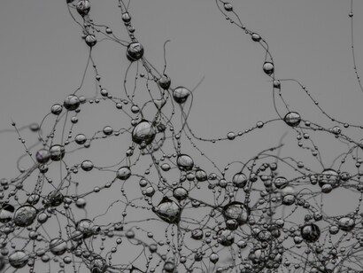 Un milímetro cúbico de corteza cerebral del ser humano contiene unas 27.000 neuronas y 1.000 millones de conexiones