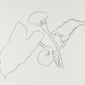 Ellsworth Kelly. Courtesy of Leslie Sacks Gallery