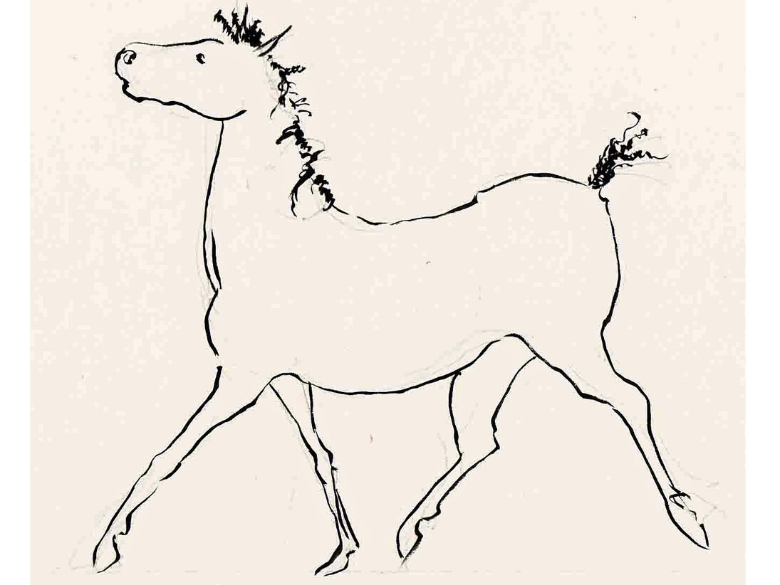 Elizabeth Porter, Horse