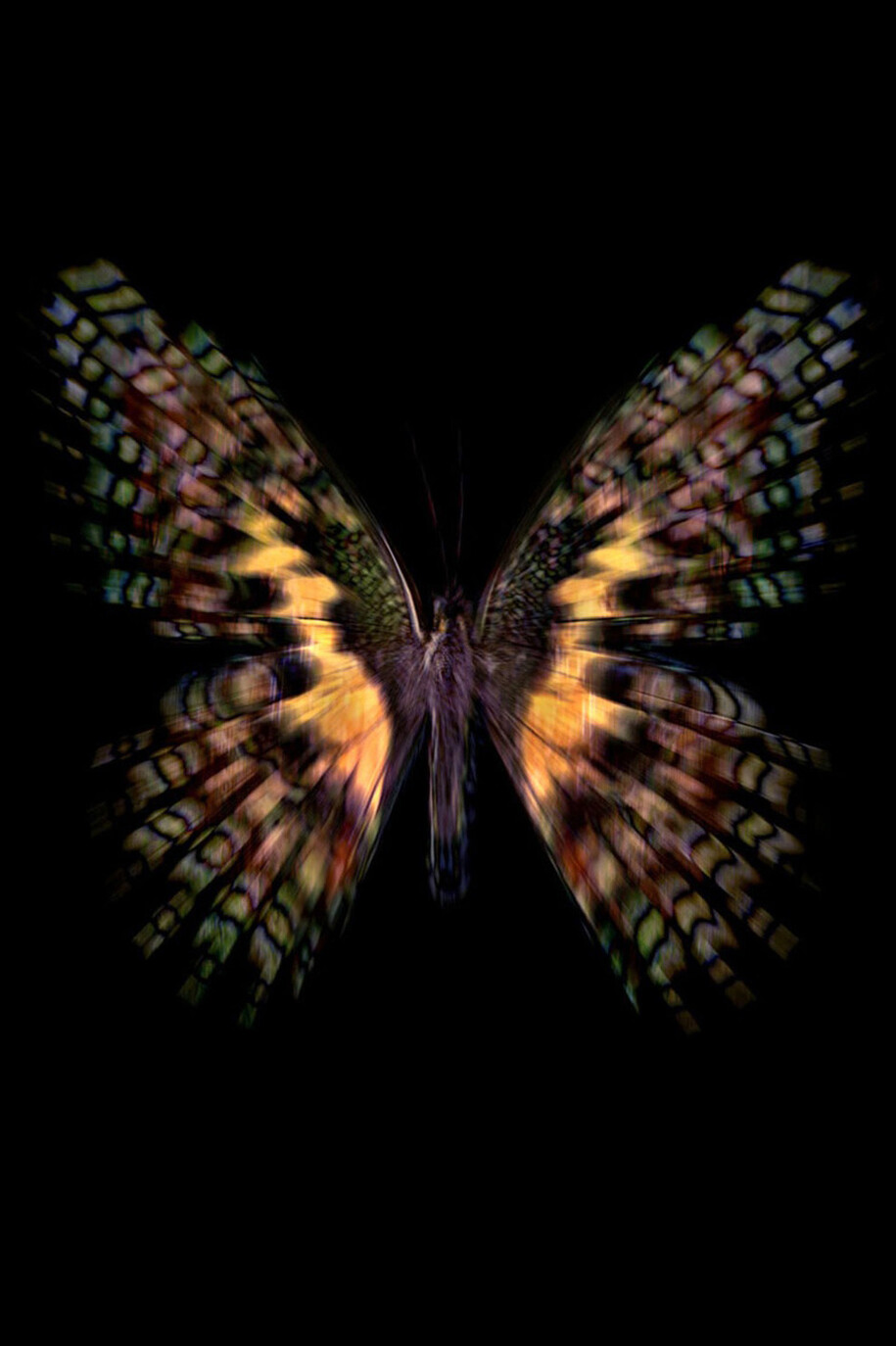 Allan Forsyth, Euphemia, 2012, LED light box lenticular, edition of 5, 100 x 100 cm, courtesy of the artist and Gallery Elena Shchukina
