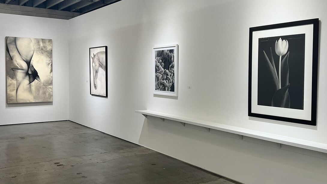 Various artists, Color blind, exhibition view. Courtesy of Winston Wächter Fine Art