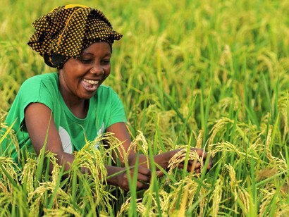 Smiling women working in a rice field