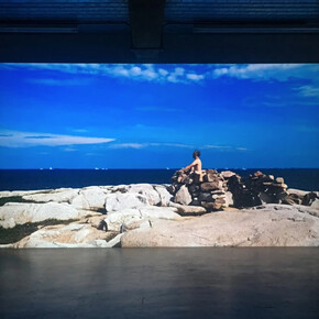 Marcus Coates. Courtesy of Workplace Gallery