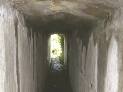 No livro, Primo Levi reflete sobre seus dias no campo de concentração Nazista, Lager Sylt