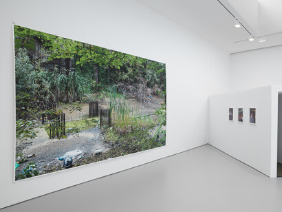Wolfgang Tillmans. Courtesy of David Zwirner