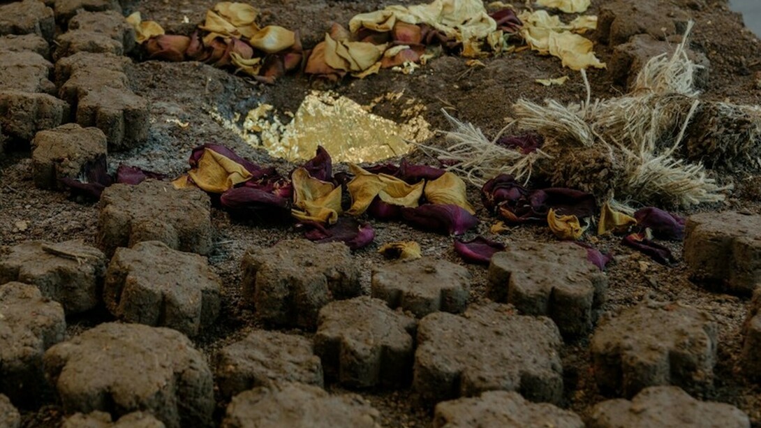 Dineo Seshee Bopape, Exhibition view. Courtesy of Art in General