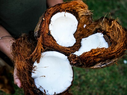 Cocos