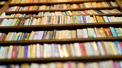 Livros em estante