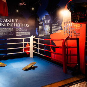 Arena of martial arts, exhibition view. Courtesy of the Estonian Sports and Olympic Museum