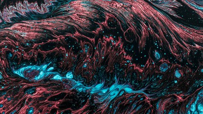 The nature of consciousness