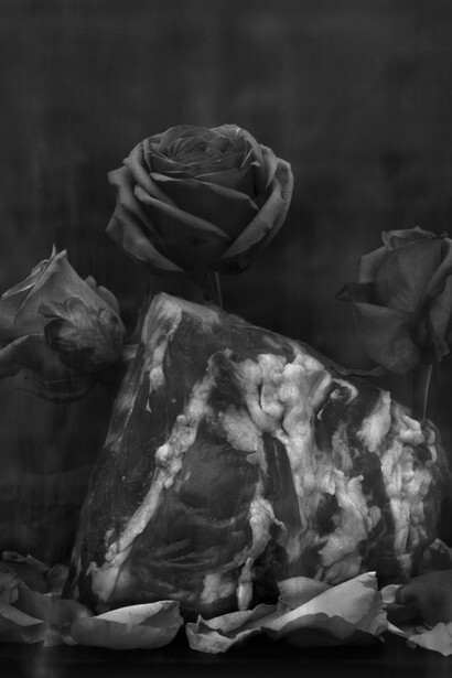 Heinz Schattner, Desert flower, 2015 - Heinz Schattner. Cortesia del Caracciolo Hospitality Group