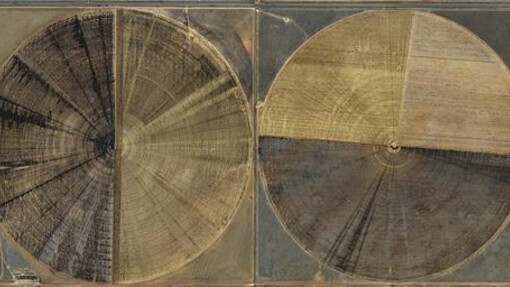 Water. Courtesy of Cleveland Museum of Art