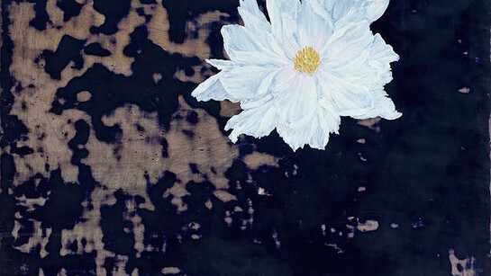 Melanie Miller, Tree Peony, 2014-2015, oil on gessoed board, 40 x 40 cm