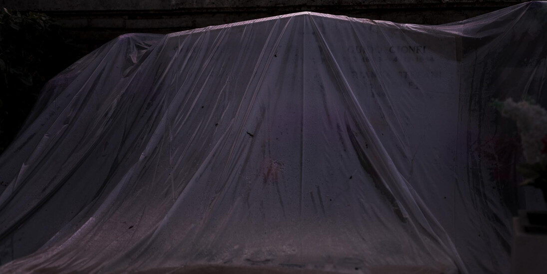 Daniela Friebel, from the series Auspicia