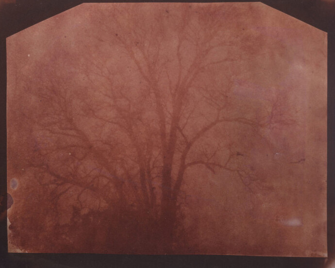 William Henry Fox Talbot and the Promise of Photography. Courtesy of Carnegie Museums of Pittsburgh