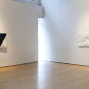Rupert Deese. Courtesy of Nancy Hoffman Gallery