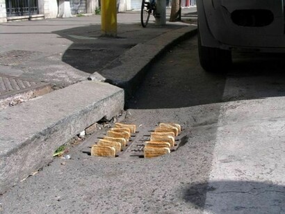 Mark Jenkins, Toast
