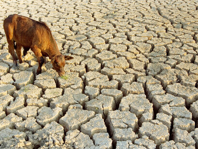 ​Drought