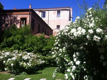 Fioritura di rose alla Giudecca
