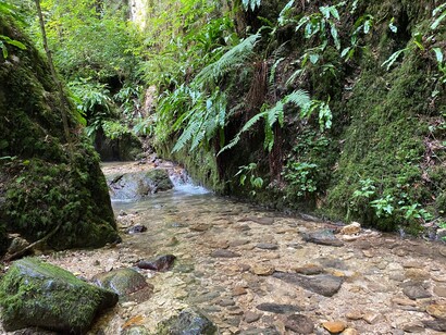 Lo sbocco del torrente sul prato e il bosco, Montagna Spaccata, Italia