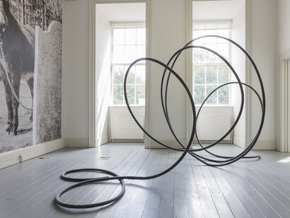 Isabel Nolan, The weakening eye of day