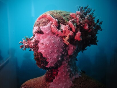 Jason deCaires. Rostro humano