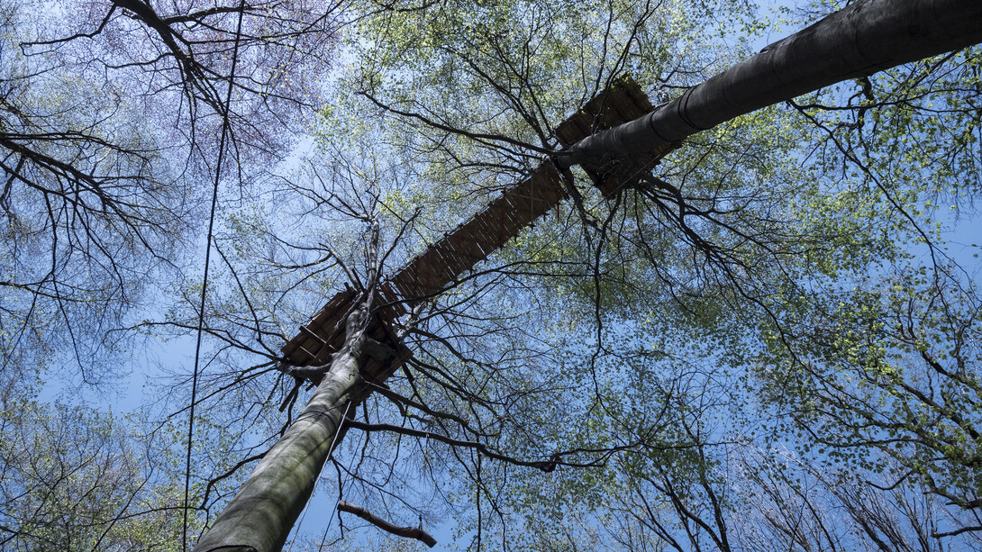 Oliver Ressler, How is the Air up There?, digital print, 59,5x84,4 cm, 2018, Edition 5+1, Courtesy The Gallery Apart Rome