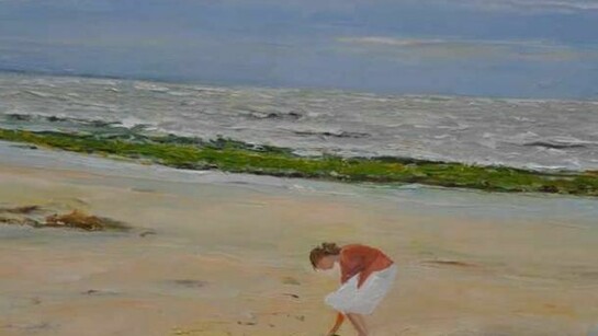 Françoise Bertrand, Les coquillages