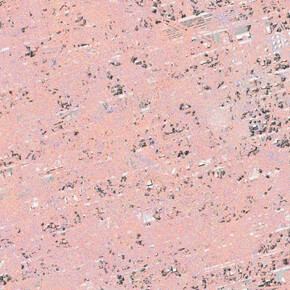 Summer Sampler. Courtesy of Front Room Gallery