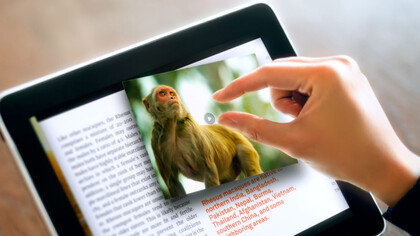 The future of media?