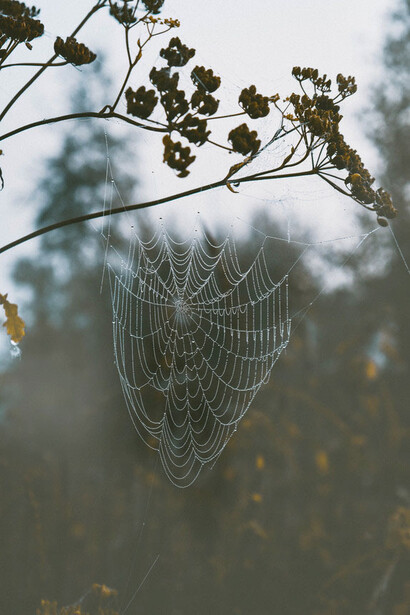 I loro sforzi sono finalizzati alla costruzione di opere architettoniche quasi invisibili