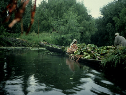 Venditori in shikara