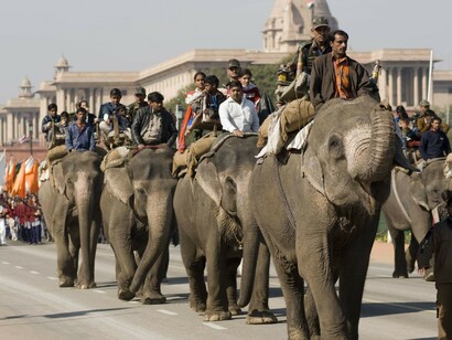 Índia. Elefantes que andam no centro de Nova Delhi