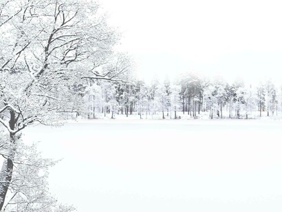 Only trees in the frozen snow. Shouldn't our hearts come out, in little jumps of joy, beating in rhythm to the awareness of this marvelous phenomenon called another day?