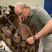 Paleolab. Courtesy of Carnegie Museum of Natural History