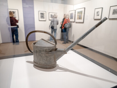 Edward Steichen and the garden, exhibition view. Courtesy of George Eastman Museum