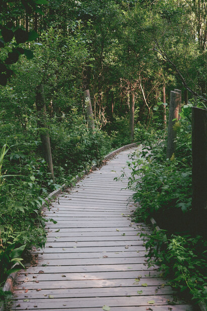 A veces, el verdadero cambio comienza cuando podemos ponerle nombre a lo que antes solo dolía en silencio