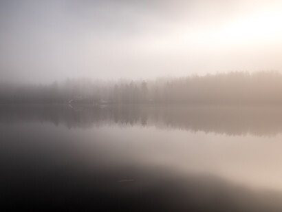 Light in the Mist, ph. Michael Stillwater