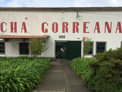 Fábrica de chá Gorreana na ilha de São Miguel, Açores