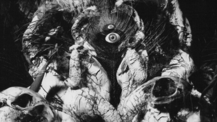 Wunderkamera. Courtesy of The Hospital Club