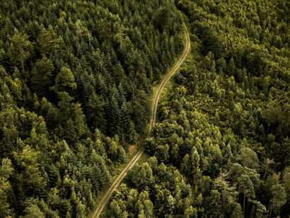 Una strada di terra che inizia ai confini del niente