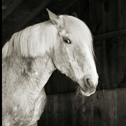 Isa Leshko. Courtesy of Richard Levy Gallery