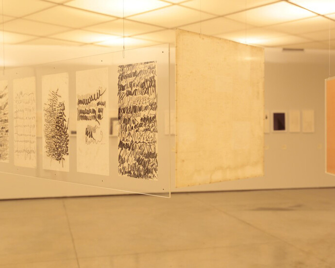 Sinais/Signals Mira Schendel. Courtesy of MAM