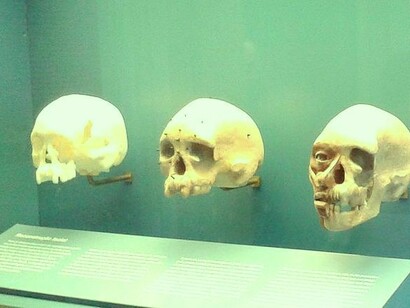 A reconstituição facial e o crânio de Luzia, "a primeira brasileira", estavam expostos no Museu e possivelmente foram destruídos