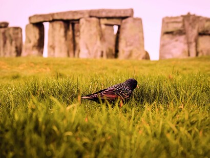 Stonehenge