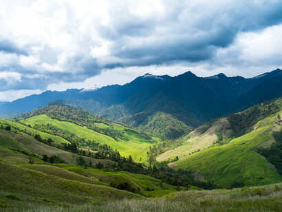 Nature and green in Arunachal Pradesh, India