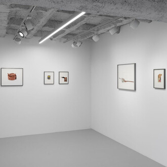 Anca Munteanu Rimnic, Treatise on Bruises, exhibition view. Courtesy of Galerie Plan B