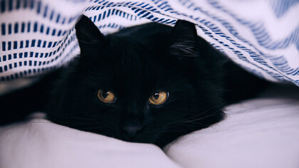 El amor, la complicidad no se encuentra en un escaparate virtual