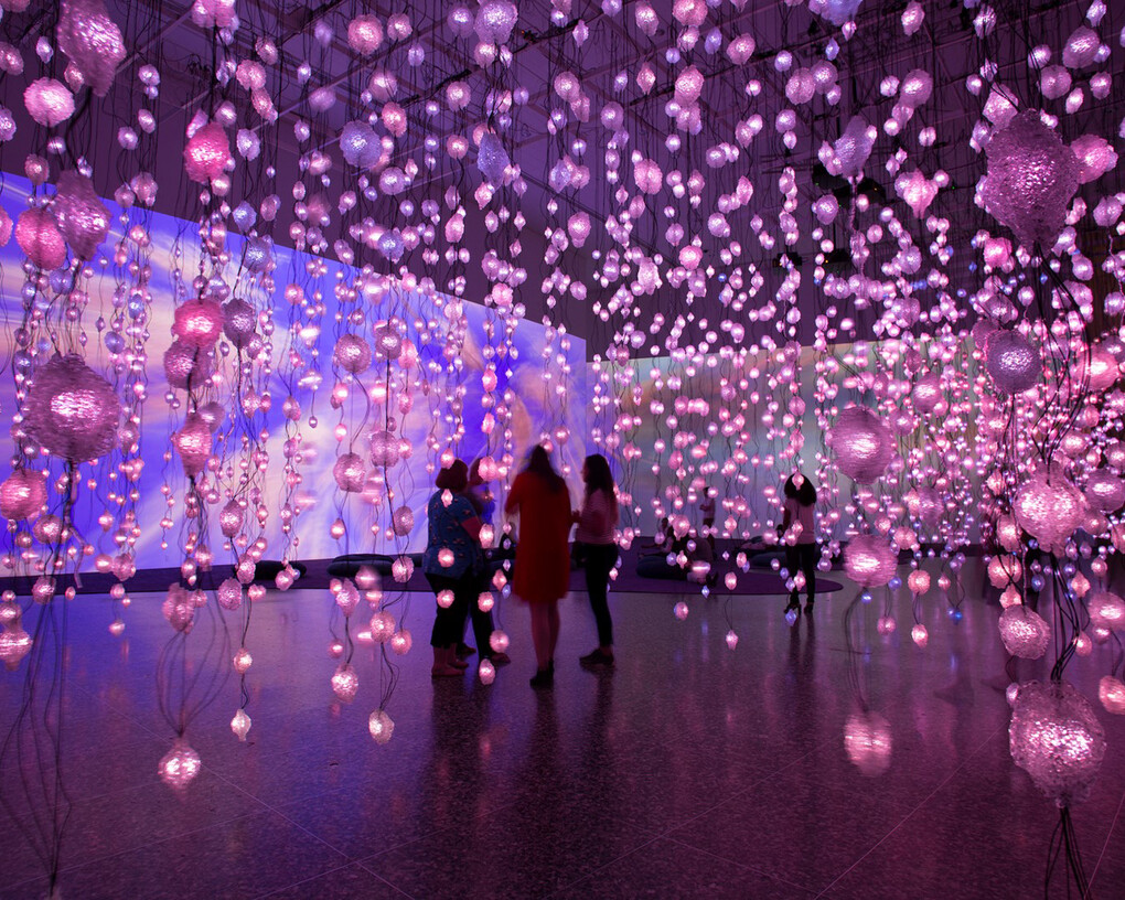 Pipilotti Rist. Courtesy of MFAH