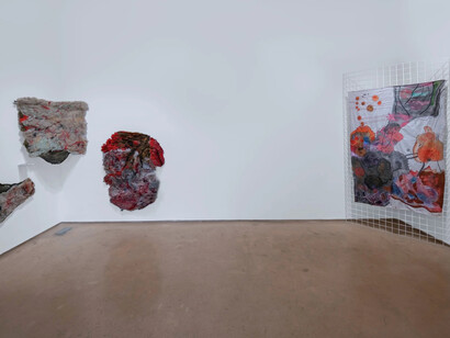 T. Vinoja, A moving cloak in Terrain, exhibition view. Courtesy of Experimenter